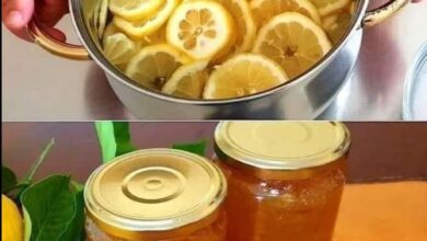 Homemade lemon jam: simple and quick recipe