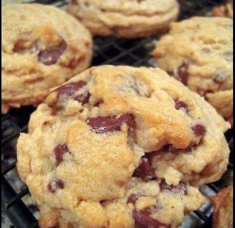 HEALTHY COOKIES RECIPE