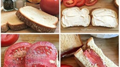 LASSIC TOMATO SANDWICH